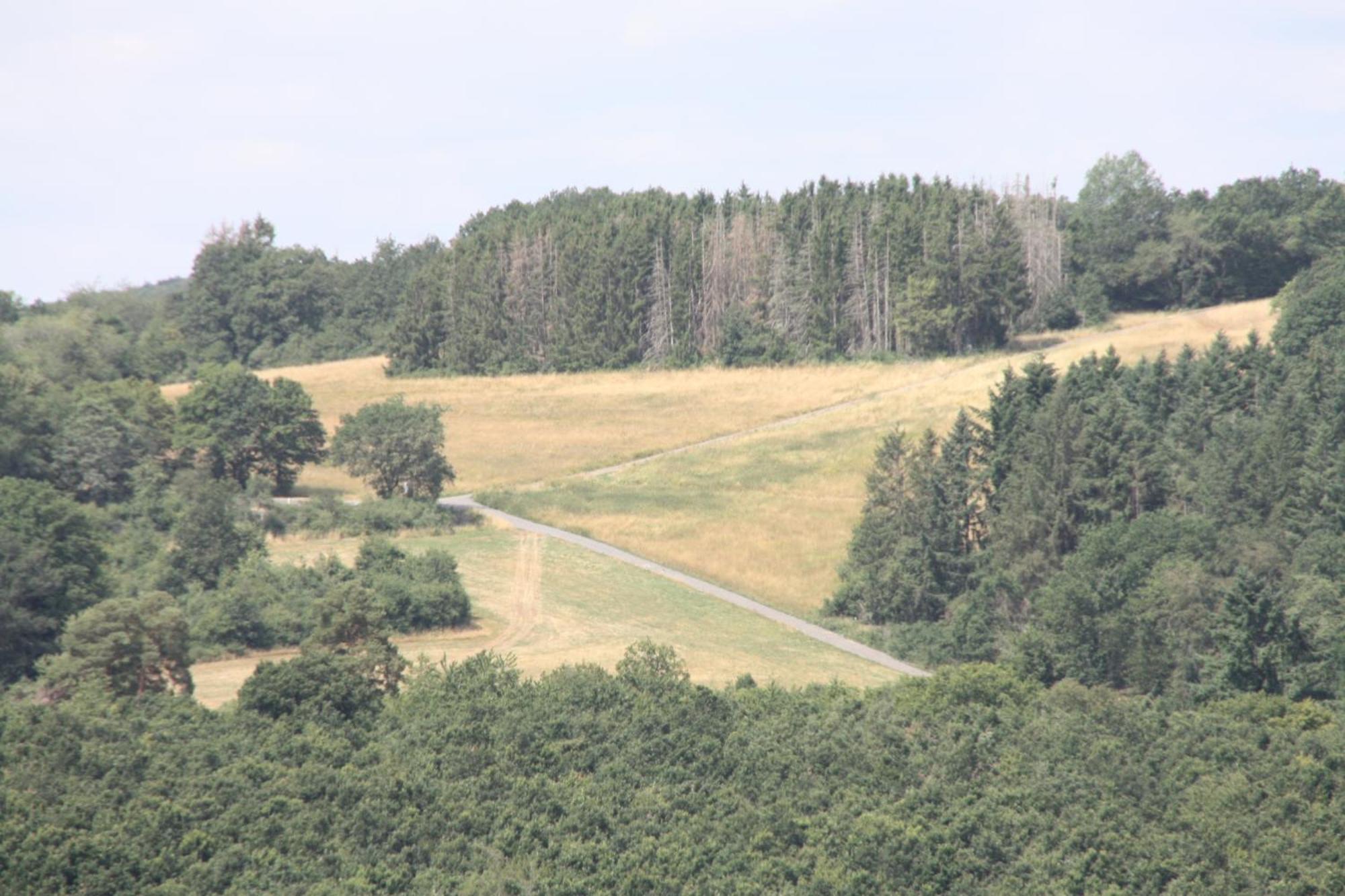 Apartament Haus Buchholz Liesenich Zewnętrze zdjęcie